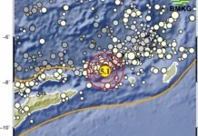 Gempa Magnitudo 4,9 Guncang Laut Banda, Tak Berpotensi Tsunami