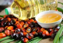 Kemendag Turunkan Harga Referensi CPO Juli 2026 hingga 2,78 Persen