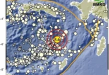 Gempa Magnitudo 5,6 Guncang Barat Laut Maluku Tenggara, Tidak Berpotensi Tsunami