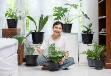 Apa itu 'Eco Living'? Ini Manfaatnya Bagi Kehidupan Sehari-hari