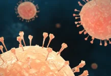 Wabah Hantavirus di Kapal Pesiar Tewaskan Tiga Orang di Atlantik