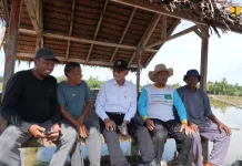 Rehabilitasi DI Krueng Pase Rampung, Pulihkan Produktivitas Pertanian Aceh Utara