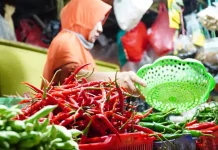BPS: Inflasi Pangan April Turun Terkendali