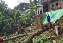 Gubernur Jabar akan Audit Tata Ruang Bogor yang "Mengancam" Jakarta