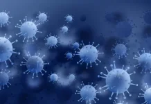 Mengenal Hantavirus yang Diduga Sebabkan Kematian di Kapal Pesiar