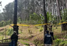 Perambah Hutan di Bone Terancam 10 Tahun Penjara