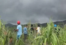 Tim SAR Cari Dua WNA Singapura Hilang Akibat Erupsi Gunung Dukono