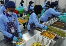 BGN: Tidak Ada Batas Usia Maksimum untuk Relawan MBG
