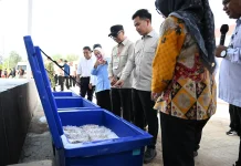 Wapres Minta Nelayan Maksimalkan Fasilitas demi Tingkatkan Produksi