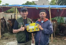 Pemkot Tangerang Data Lapak Hewan Kurban jelang Iduladha