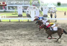 Saga Serumpun Juara Kelas Utama Indonesia's Horse Racing Triple Crown Serie 2 2026