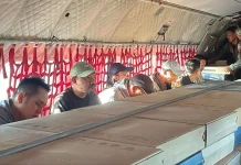 Pengakuan  Warga, Jaringan Komunikasi di Miangas Semakin Kuat