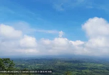 Gunung Semeru Erupsi, Kolom Abu Capai 800 Meter