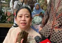 Puan Minta Pemerintah Beri Kepastian Informasi terkait Ancaman Hantavirus