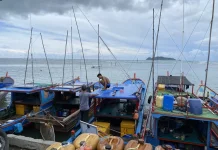 Nelayan Kapal 30 GT Keluhkan Harga Solar, DPR Was-Was Ancam Pasokan Ikan Nasional