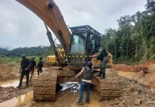 Kemenhut Bongkar Dugaan Tambang Emas Ilegal Terstruktur di Nabire, 7 WNA Diamankan