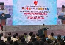 Presiden Prabowo Instruksikan Suku Bunga Kredit PNM di bawah 9 Persen