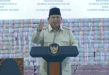 Cerita Presiden Inginkan Kenaikan Gaji Hakim hingga 300 persen
