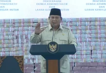 Presiden Akan Naikkan Gaji Panitera, hingga Staf Kantor Pengadilan se-Indonesia
