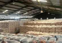 Komisi IV DPR Wanti-Wanti Stok Beras di Gudang Bulog Alami Kerusakan