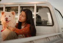 Sinopsis Film 'Gohan', Kisah Anjing Jalanan yang Mengubah Hidup Banyak Orang