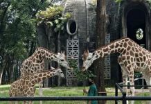Libur Panjang, Ragunan Pertahankan Tarif Normal Wisatawan