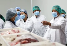 KemenKKP Resmikan Pabrik Pengolahan Ikan di Bintan, Dorong Hilirisasi Perikanan