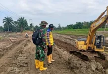 Percepatan Rehabilitasi Sawah di Padang Pariaman Didukung Alat Berat