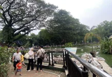 Libur Panjang, Ragunan Jadi Pilihan Wisata Edukatif Keluarga