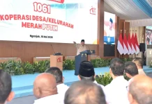 Berhasil Swasembada, Presiden Sebut Sejumlah Negara Mulai Beli Beras RI