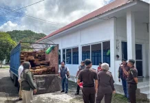 Kemenhut Bongkar Rantai Distribusi Kayu Ilegal Lintas Provinsi di Sulawesi