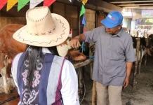 Unik, SPG Koboy dan Salon Sapi Ramaikan Penjualan Hewan Kurban