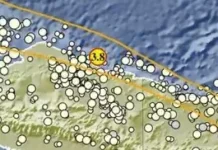 Gempa Magnitudo 3,8 Guncang Timur Laut Sarmi Papua
