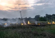 BPBD Batang Hari Siaga Karhutla Hadapi El Nino Kuat