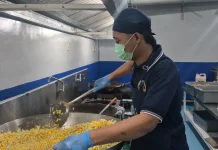 Kepala KSP Dipanggil Wapres Gibran Soal MBG