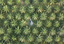 Satgas PKH dan Masa Depan Keadilan Agraria Indonesia