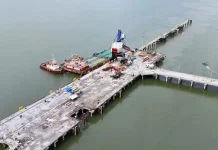 Peneliti: PSN Lumbung Pangan Papua Penting bagi Ketahanan Nasional