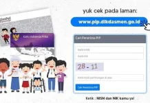 Alami Gangguan Akses Data Penerima PIP 2026? Tenang, Ini Solusinya