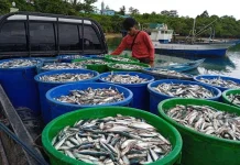 Program Kampung Nelayan, Komisi IV Minta Dikawal dari Hulu sampai Hilir