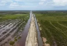Pengamat: Program Cetak Sawah Wanam Perkuat Ketahanan Pangan