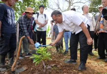 Hadapi Tantangan Perubahan Iklim, Menteri LH Tanam 1.000 Pohon di Cianjur