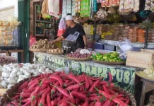 Kementan Perkuat Pengawasan Pasokan Bawang Merah jelang Iduladha