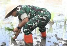Pangdam XIII/Merdeka: Petani Fondasi Ketahanan Pangan Nasional