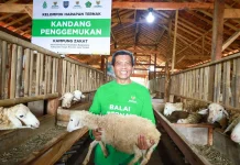 Bantu Ekonomi Mustahik, BAZNAS RI Resmikan Balai Ternak di Tegal