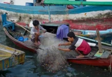 Suara Nelayan Jakarta, Inginkan Penguatan Pelabuhan dan Fasilitas Pendingin Ikan