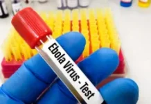 WHO Tetapkan Darurat Ebola, Asia Perkuat Skrining Pelancong