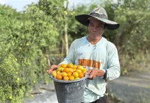 CSR IMIP Perkuat Kemandirian Ekonomi Petani Morowali