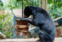 Jalan-jalan ke Batu Secret Zoo, Ini 5 Pengalaman Menarik Bisa Didapatkan!