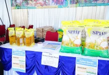 Pemerintah Pastikan Harga Beras SPHP Tetap Stabil