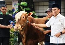 Menbud Fadli Maknai Iduladha sebagai Wujud Ketulusan Umat Muslim